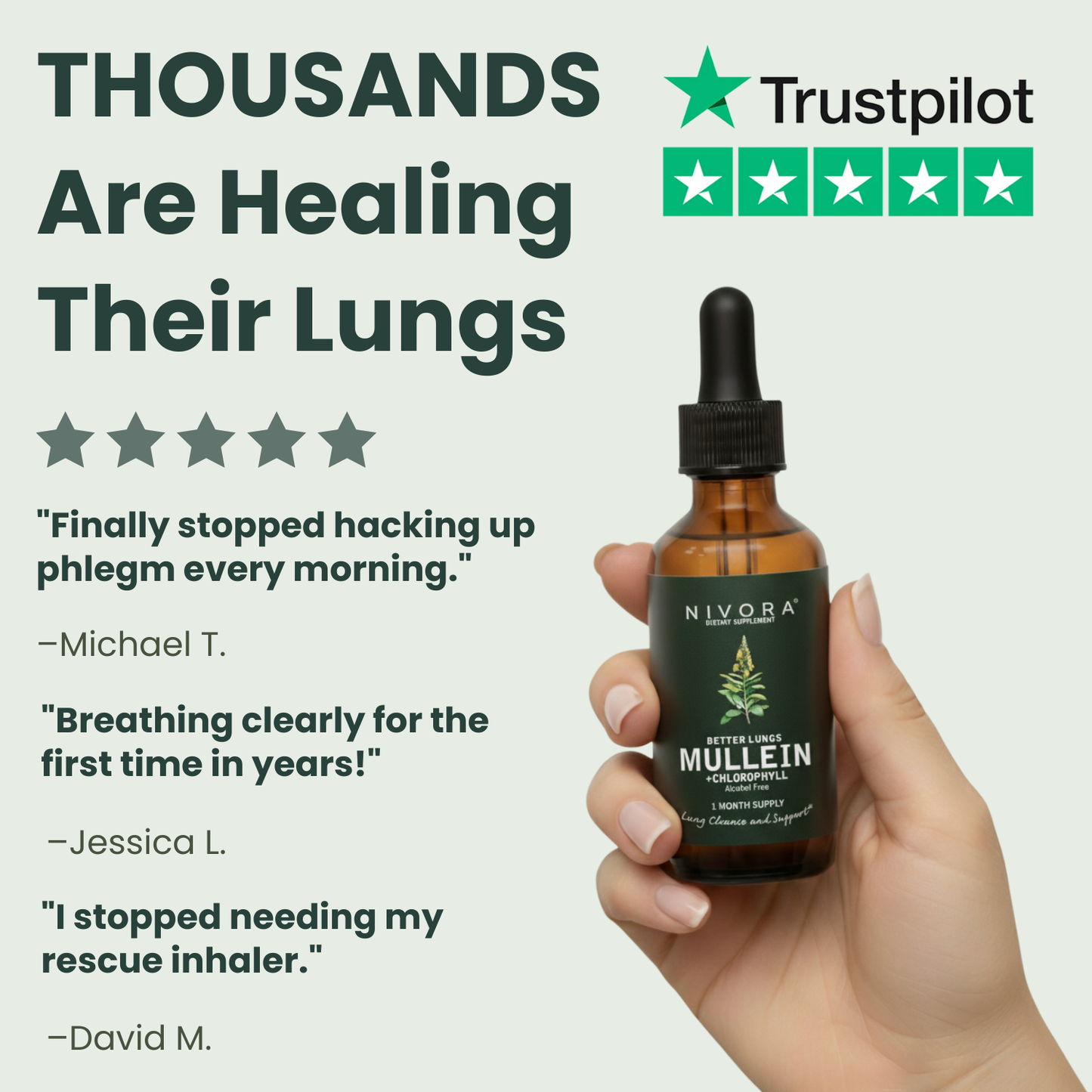 Mullein Lung Detox Drops
