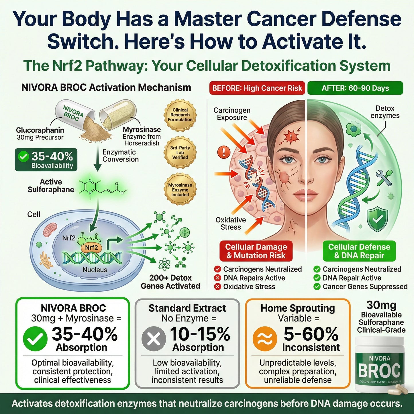 BROC High-Density Sulforaphane