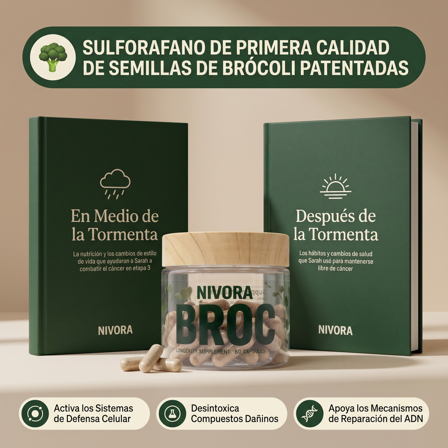 BROC Sulforafano de Alta Densidad ES