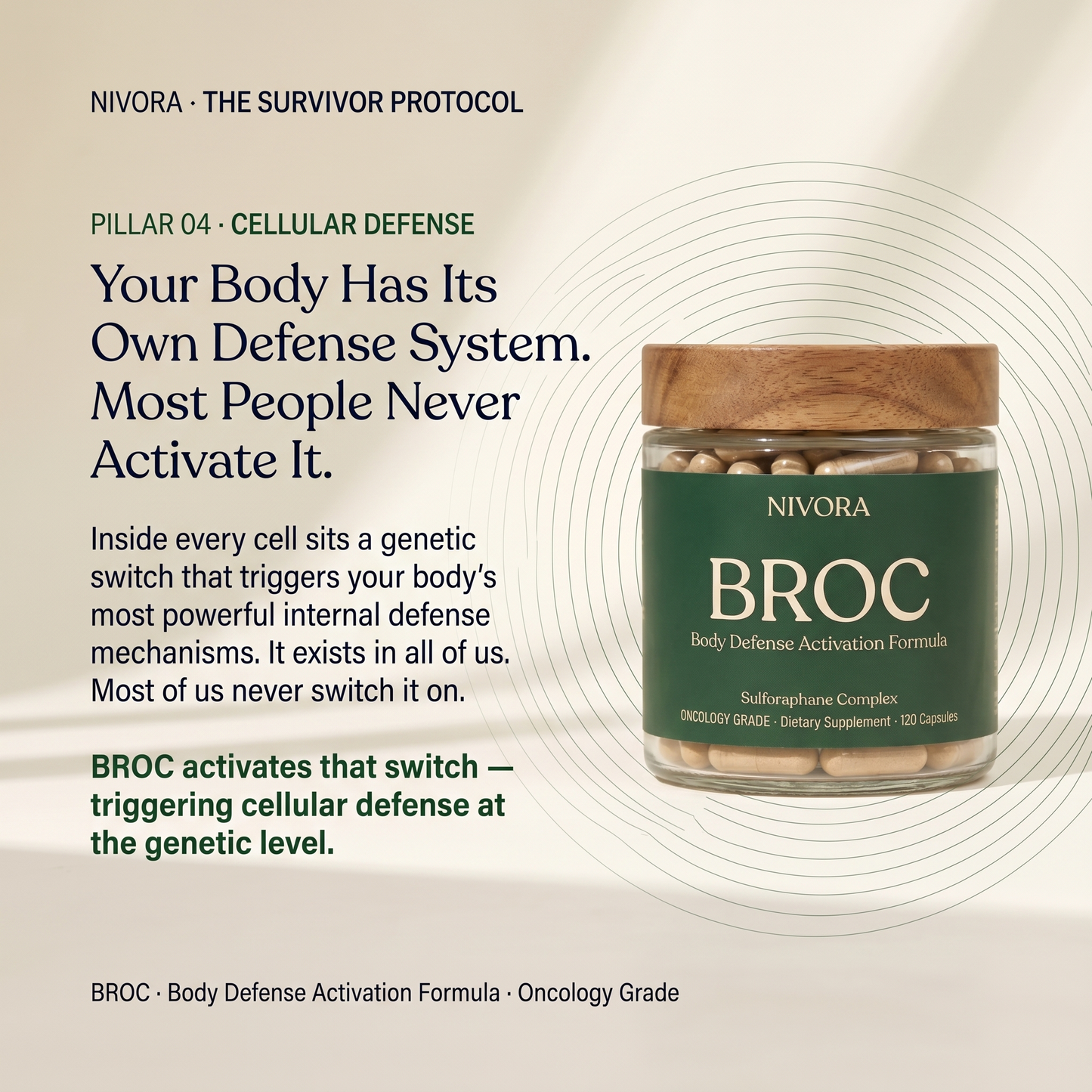 NIVORA · THE SURVIVOR PROTOCOL