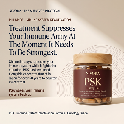 NIVORA · THE SURVIVOR PROTOCOL