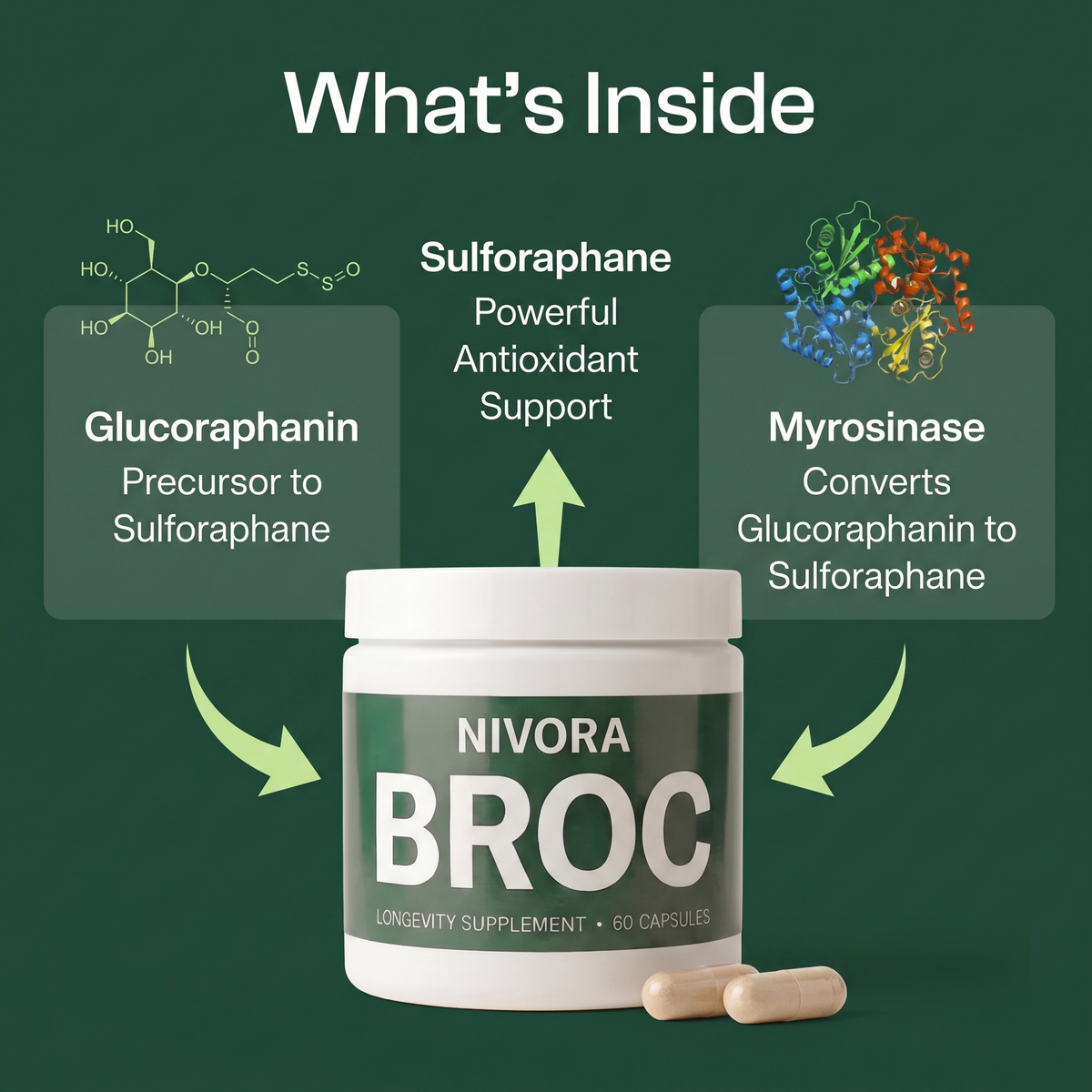 BROC Sulforafano de Alta Densidad