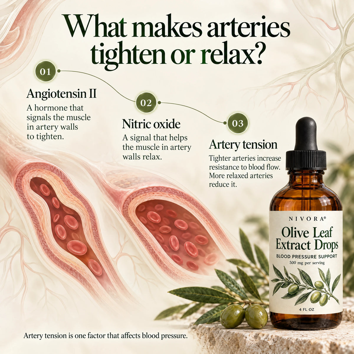 Nivora® Olive Leaf Extract Drops